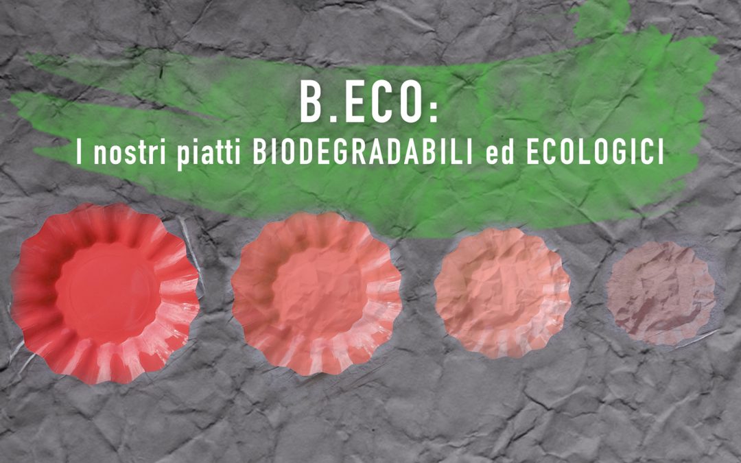 B.ECO: I NOSTRI PIATTI BIODEGRADABILI ED ECOLOGICI